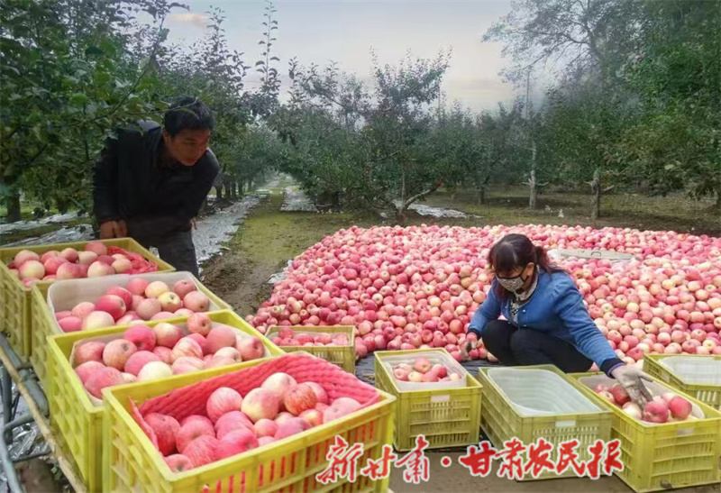 1762164012557407.jpg 1761647299485073097.jpg