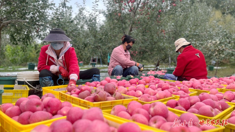 1762394854879869.jpg 微信圖片_20251105155557_106_102.jpg