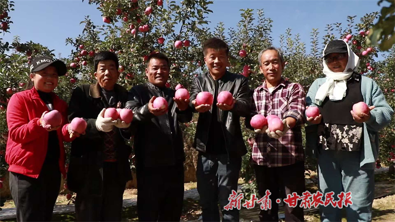 1762479499937081.jpg 1762472717610041572.jpg