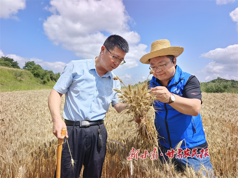 1762479804818569.jpg 1762318625577057841.jpg