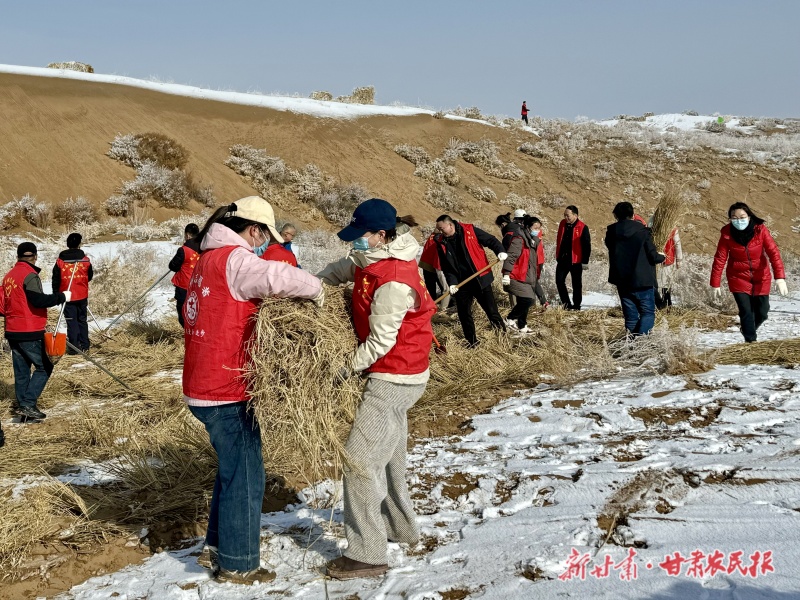 壓沙忙在春風(fēng)里——涼州區(qū)開展2025年春季義務(wù)壓沙活動(dòng)側(cè)記