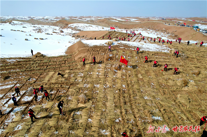 壓沙忙在春風(fēng)里——涼州區(qū)開展2025年春季義務(wù)壓沙活動(dòng)側(cè)記