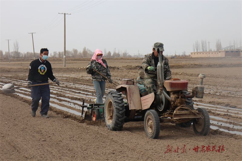 【大國策下的小日子】“小制種”孕育新希望