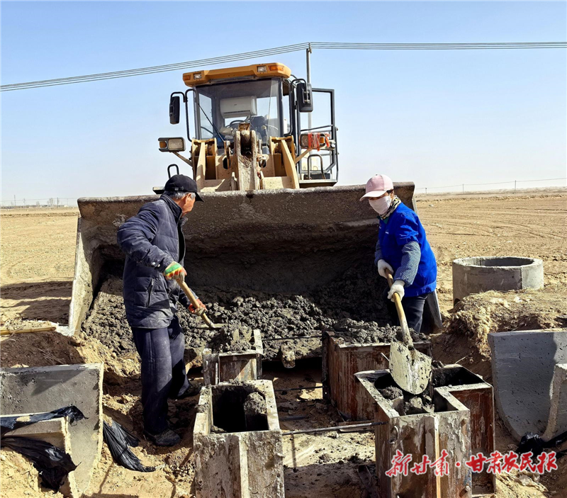 民勤縣收成鎮(zhèn)：高標準農田建設如火如荼