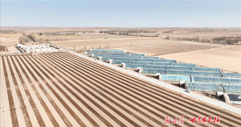 科技賦能春耕！金川區(qū)雙灣鎮(zhèn)拉滿春播進(jìn)度條