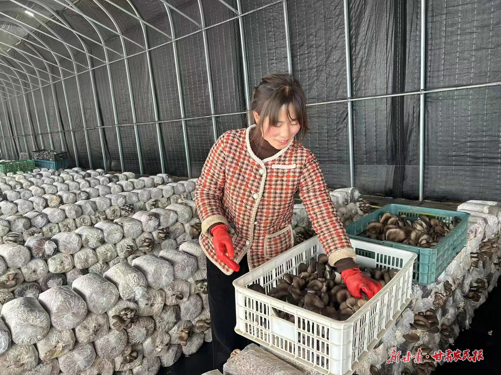 春風催人早 萬象“耕”新忙——鎮(zhèn)原縣春耕春管一線見聞