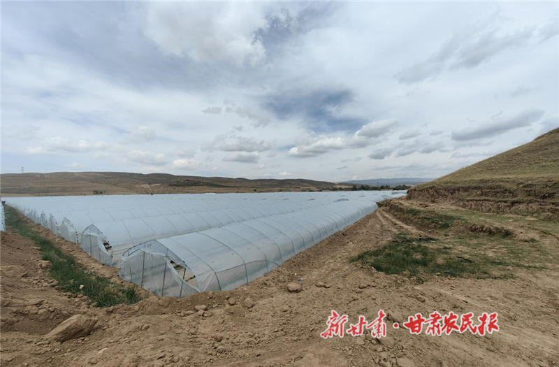 平川區(qū)：多元產(chǎn)業(yè)融合助推集體經(jīng)濟(jì)發(fā)展