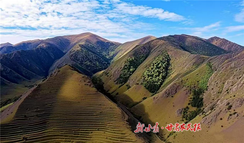 平川區(qū)：一泓清泉激活村集體“造血”動(dòng)能