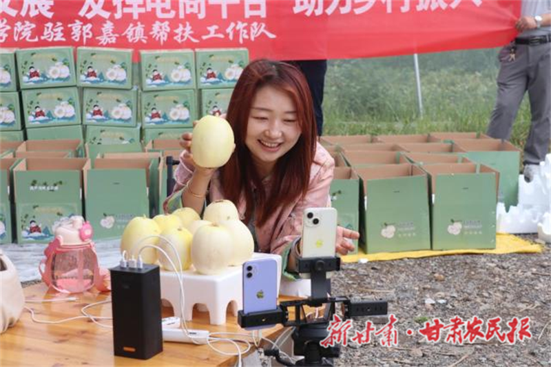 秦安縣：“電商+幫扶”雙輪驅(qū)動(dòng)白脆瓜銷售“出圈”

