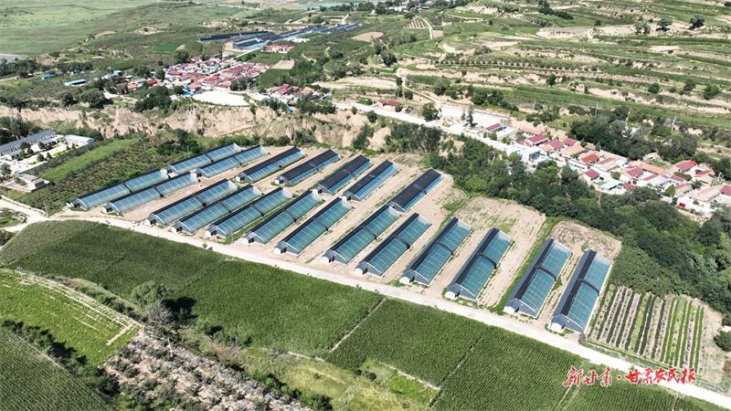 靜寧：振興產(chǎn)業(yè)鼓“錢袋子”