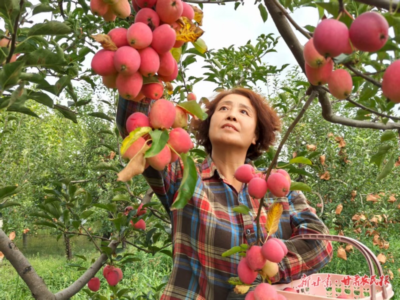 果實(shí)成熟前如何防治蟲(chóng)害