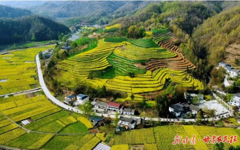 康縣大南峪鎮(zhèn)：“黨建+”激活鄉(xiāng)村振興新動(dòng)能