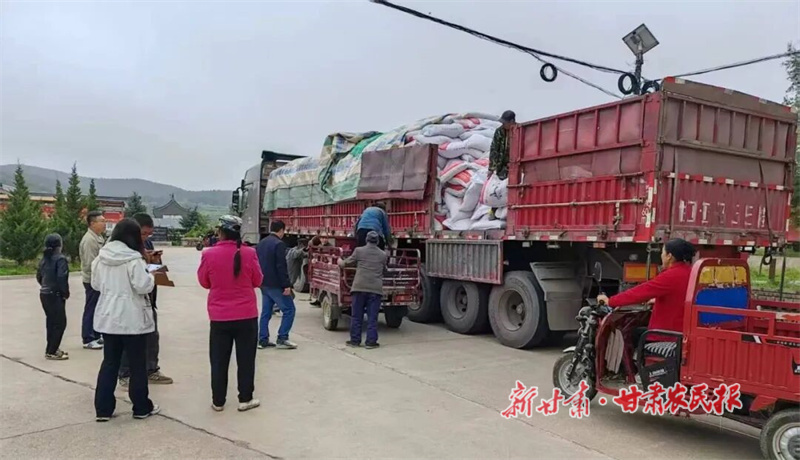 華亭：115.92 噸“秋日能量”點(diǎn)亮養(yǎng)牛戶致富路