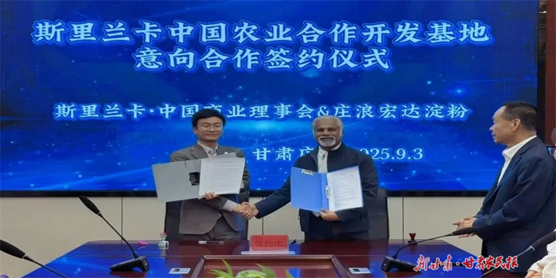 莊浪馬鈴薯全產業(yè)鏈優(yōu)勢贏得國際訂單
