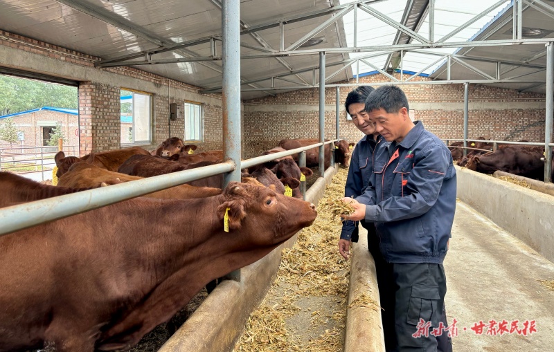 從“牛醫(yī)生”到“養(yǎng)牛達(dá)人”
