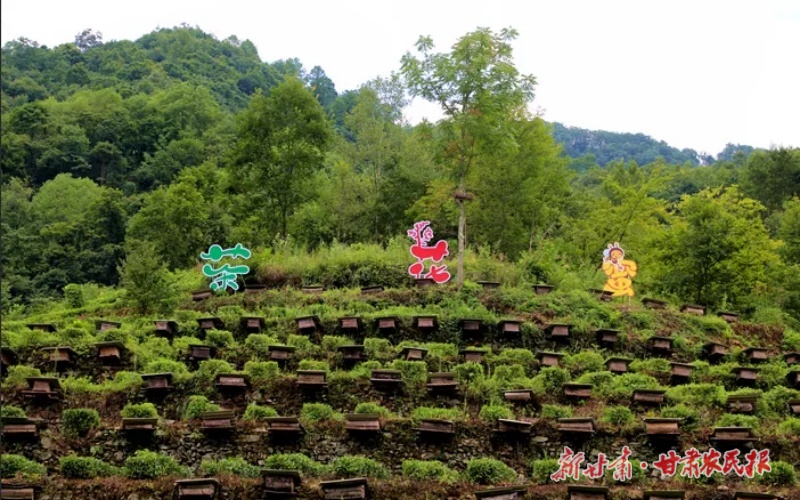 康縣銅錢鎮(zhèn)：“鏈”上黨建，串起產(chǎn)業(yè)發(fā)展“聚能環(huán)”