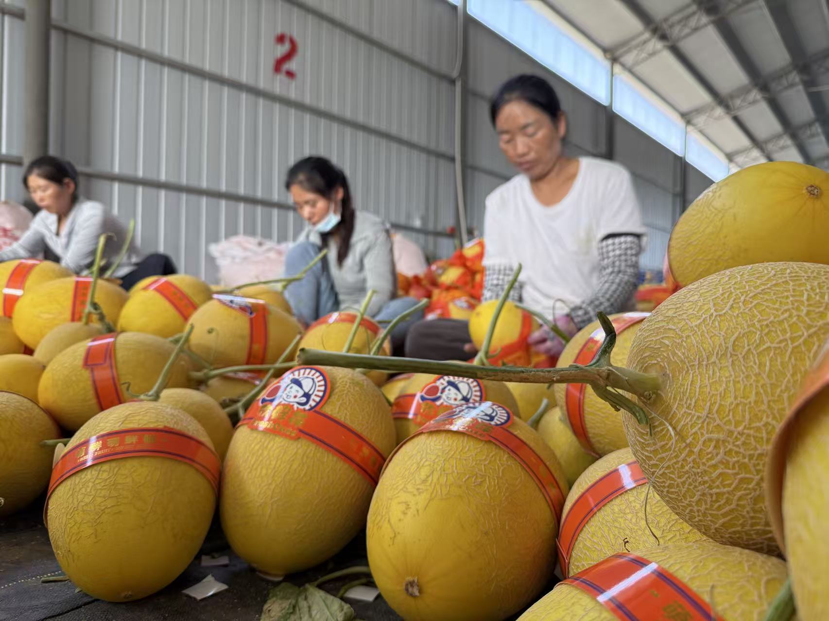 “豐登高臺(tái)”農(nóng)文旅融合媒體行暨網(wǎng)絡(luò)主題宣傳活動(dòng)將于9月22日—24日舉行