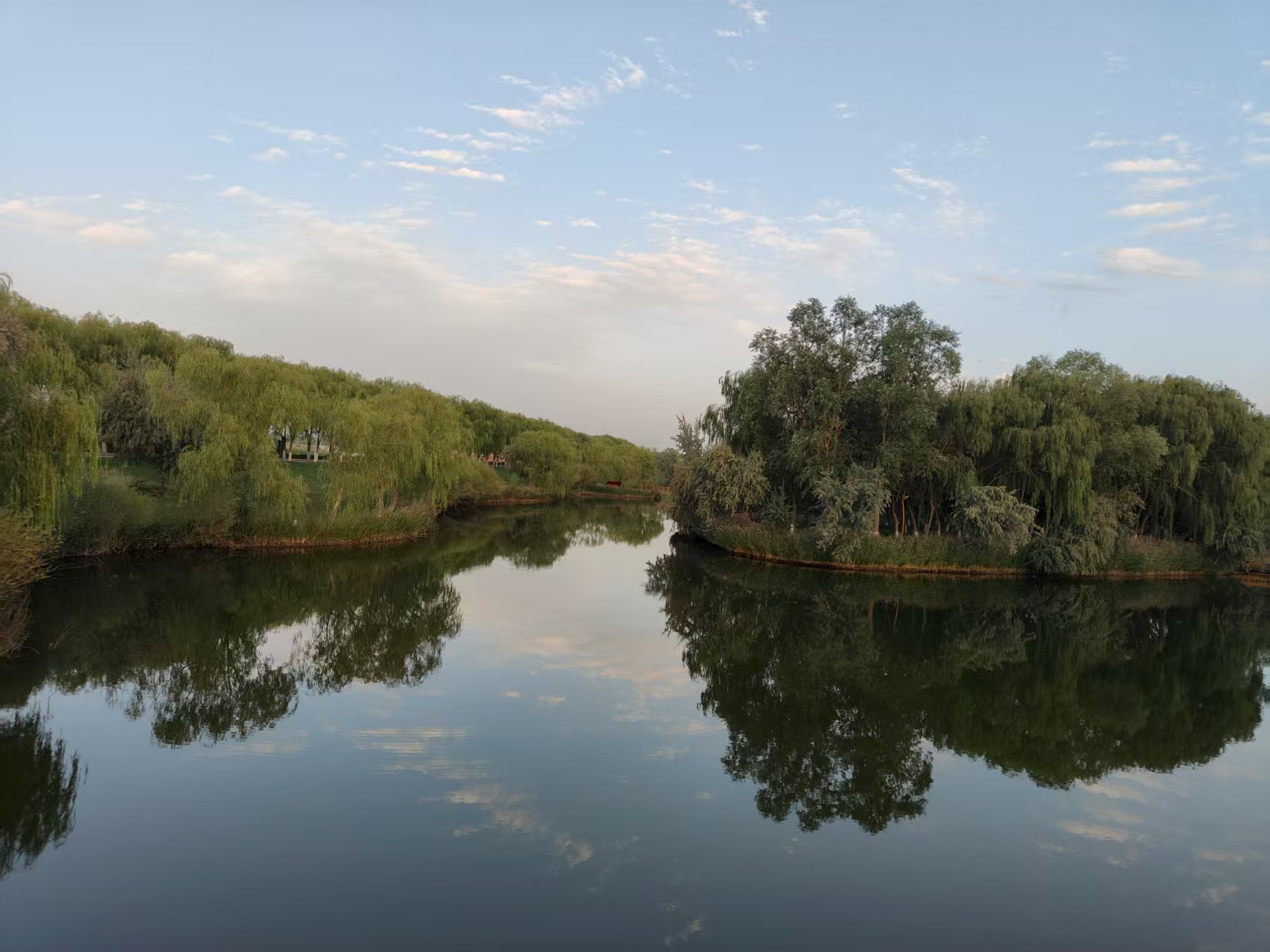 黑河畔的生態(tài)詩畫