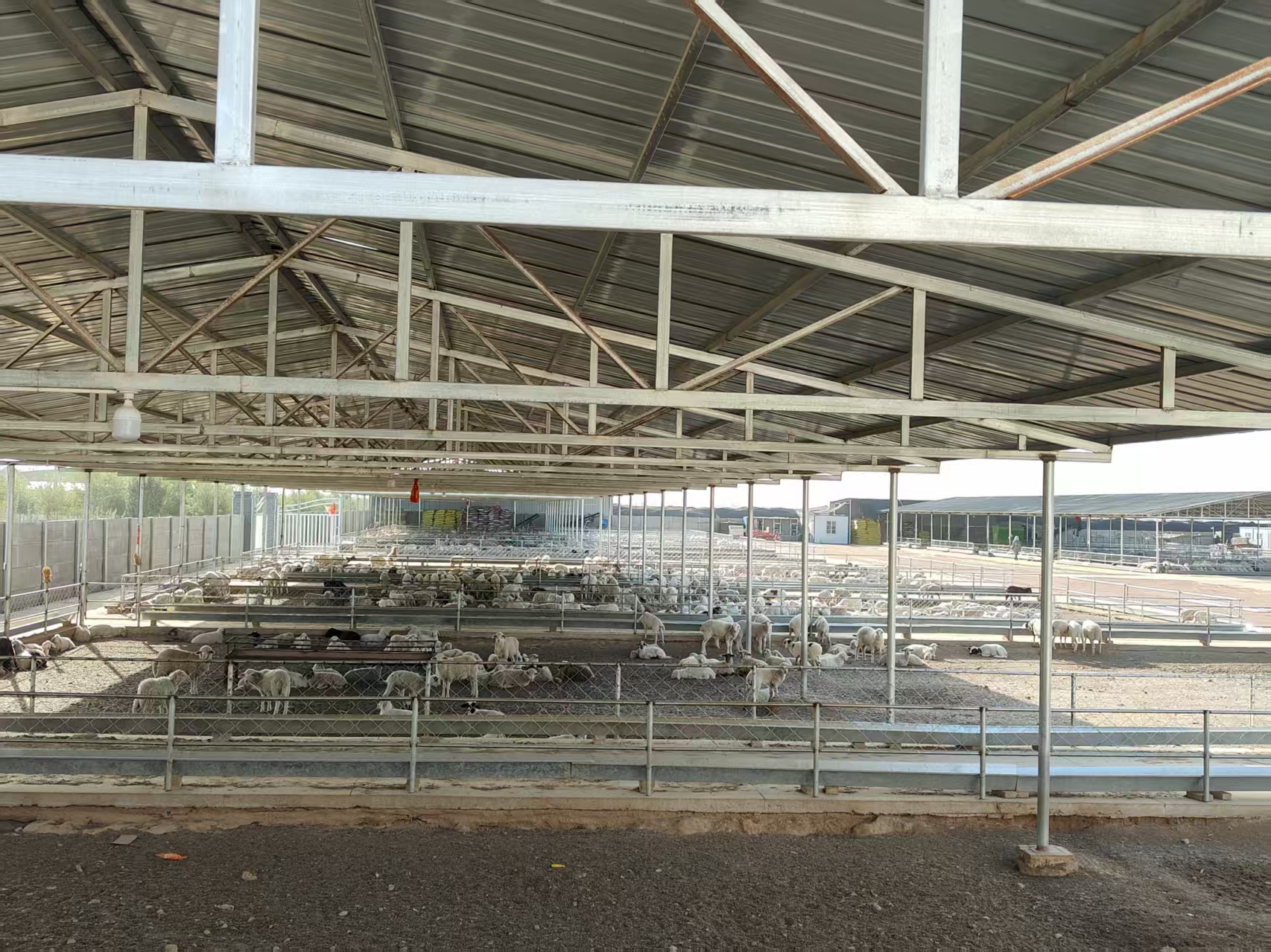 馬八的“快字訣”