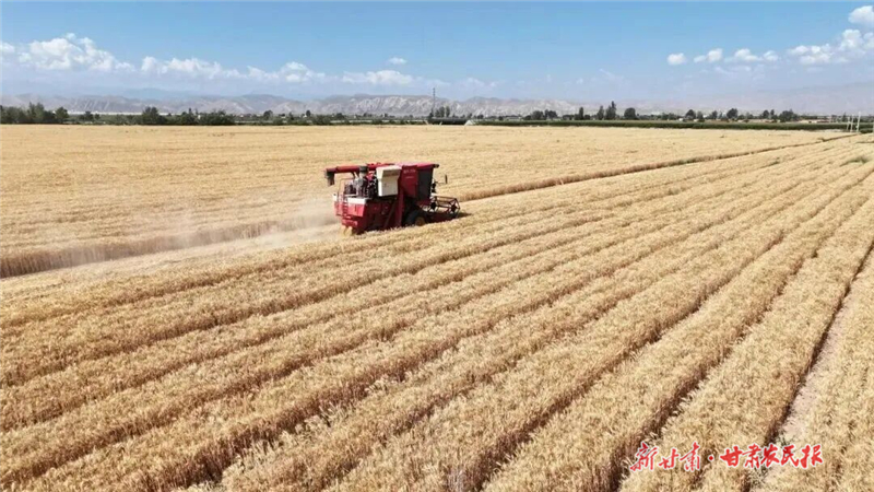 古浪：田疇結(jié)碩果 沃野繪“豐”景
