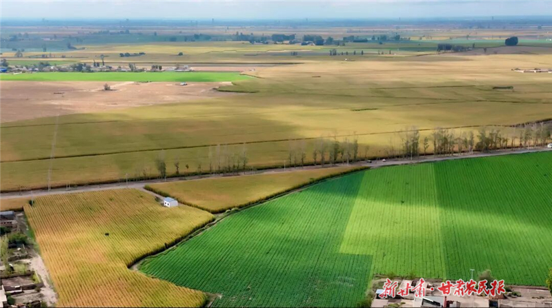 永昌：糧蔬滿田疇 振興添動能