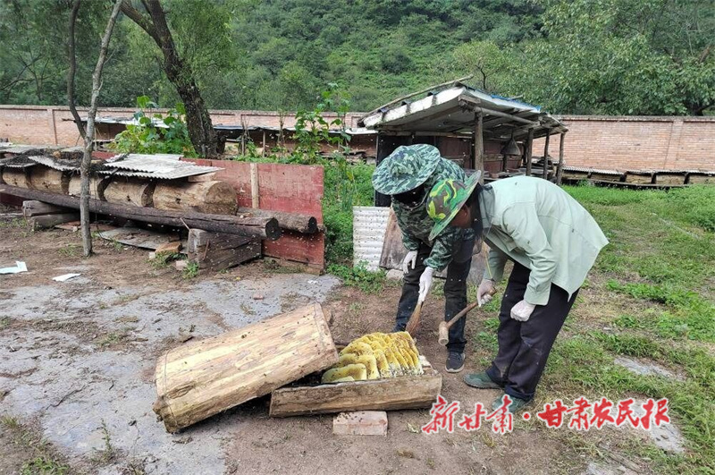 華亭：興民村的“甜蜜經(jīng)濟(jì)”