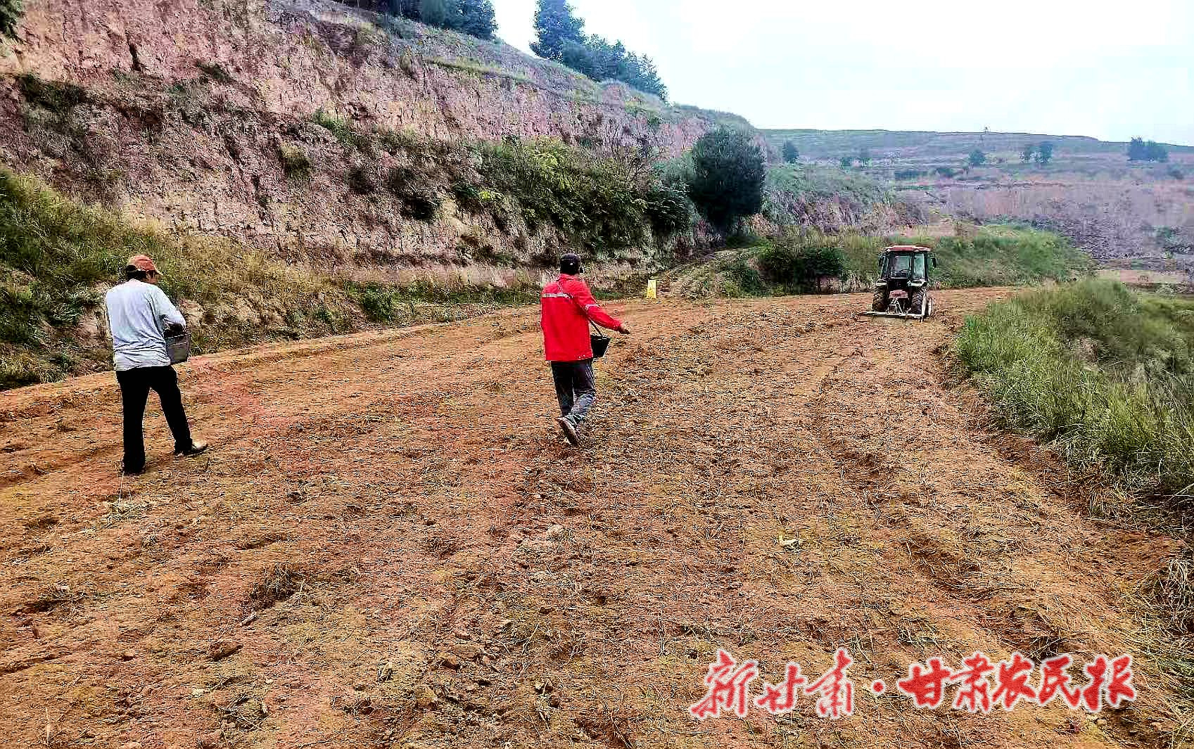 連陰雨不停 冬小麥咋種