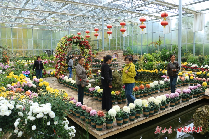 游客在貴清山植物園菊花展廳內(nèi)賞花拍照