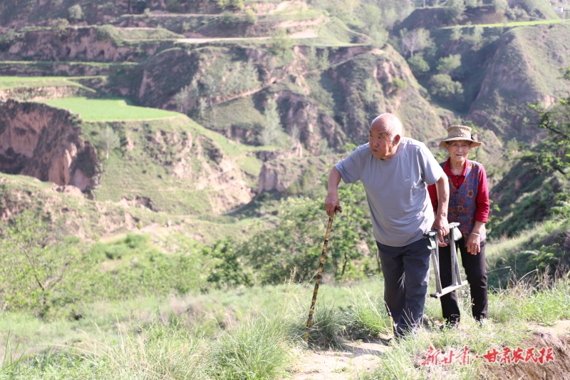 荒山“綠”約——環(huán)縣三位“綠色愚公”的生命守望