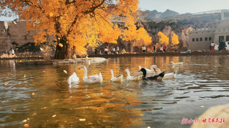 阿克塞多壩溝胡楊峽