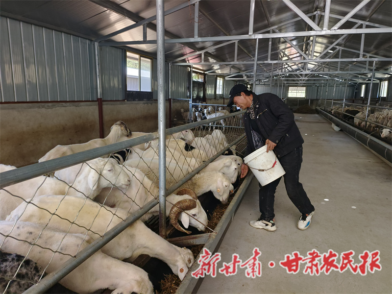 秦州區(qū)：畜牧養(yǎng)殖“多點賦能” 繪就鄉(xiāng)村振興新圖景