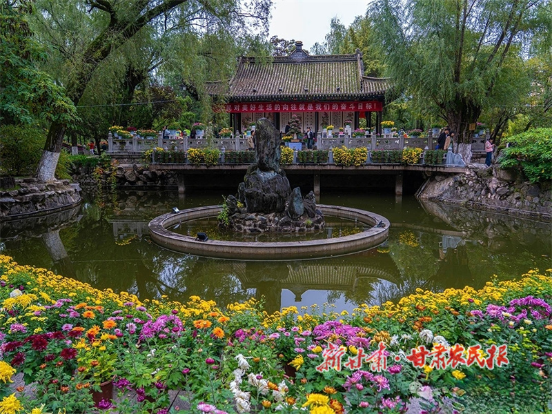 金秋菊韻映秦州 花海人潮共繪詩意畫卷