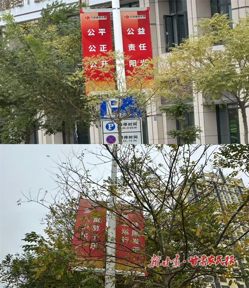 點(diǎn)亮公益路 福彩暖人心——嘉峪關(guān)福彩在市內(nèi)多路段布置宣傳道旗