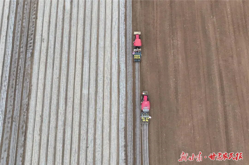 冬小麥播種正當時 田間農戶種糧忙